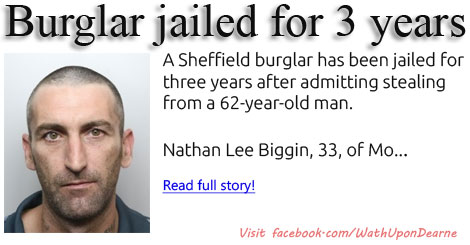Burglar jailed for three years