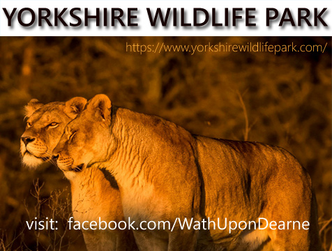 Yorkshire Wildlife Park On The Run