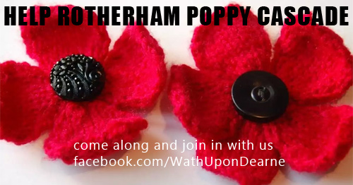 Appeal for help to finish Rotherham poppy cascade