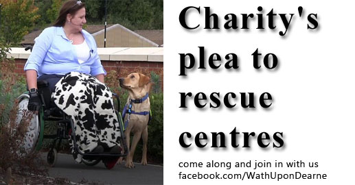 Charity's plea to rescue centres