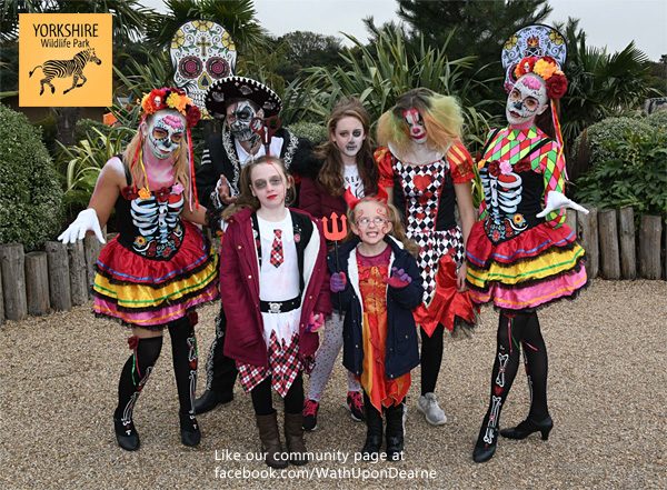 Yorkshire Wildlife Park transforms into a spooky Halloween carnival