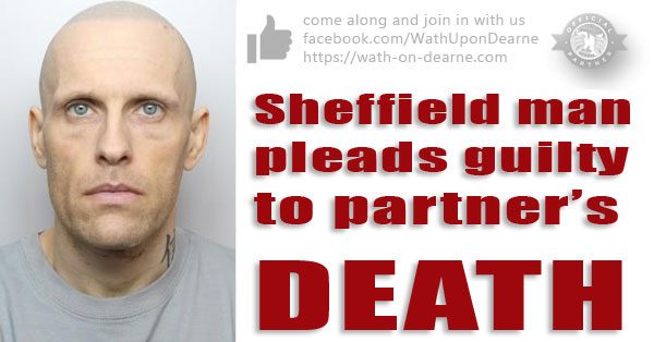 Guilty to partner’s death