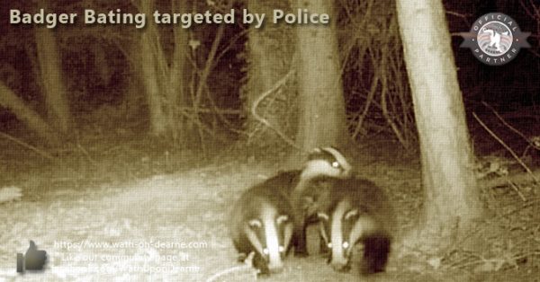 Police op tackles drugs, weapons and badger baiting