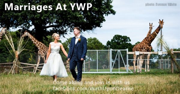 Yorkshire Wildlife Park's exotic safari themed weddings